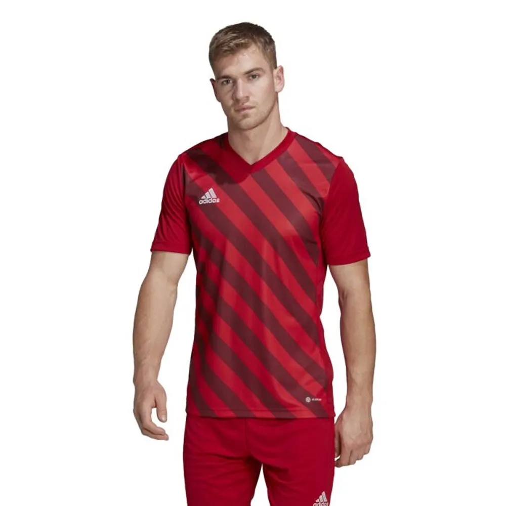 Adidas Youth Entrada 22 Graphic Jersey (Red/Red)