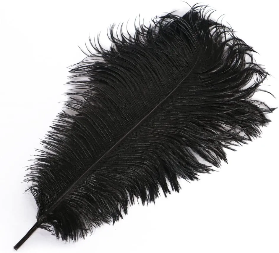 Costumes For All Occasions Novelty Plumes