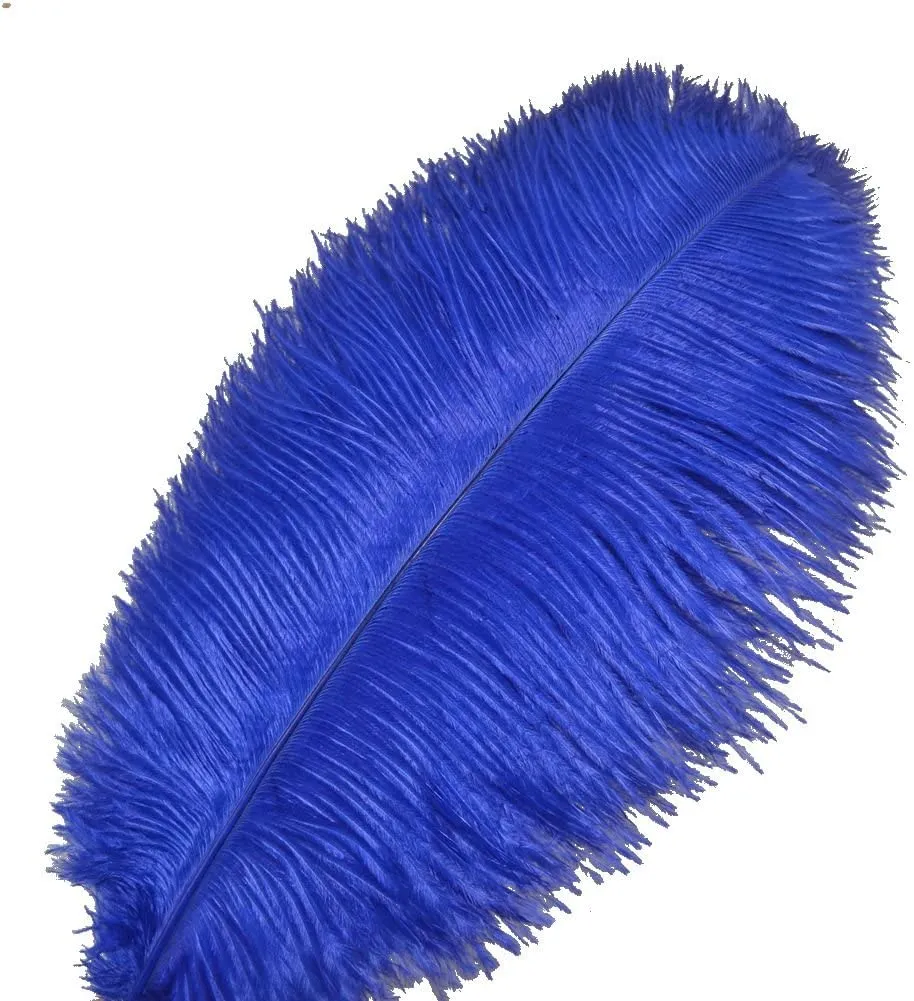 Costumes For All Occasions Novelty Plumes