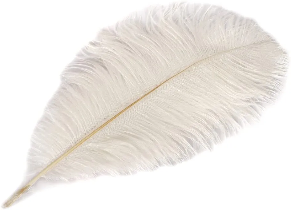 Costumes For All Occasions Novelty Plumes