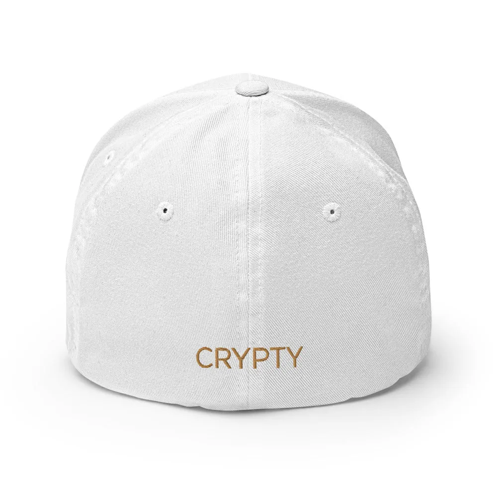 DigiByte Flexfit Hat