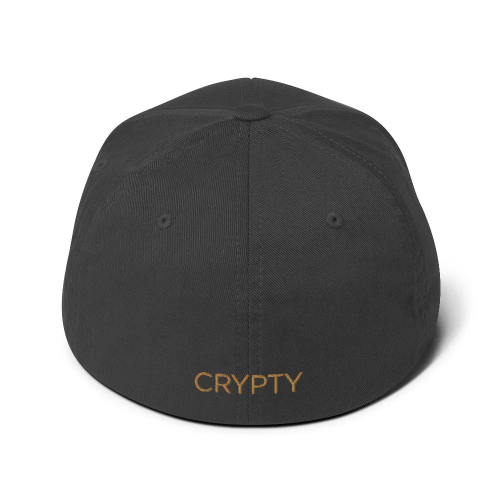 DigiByte Flexfit Hat