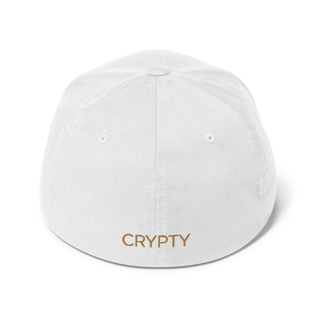 Litecoin Flexfit Hat